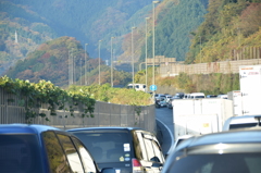 渋滞！