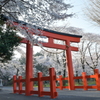 諏訪神社の桜