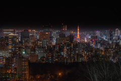 札幌の夜景