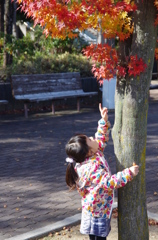 小さい秋見つけた～2014～
