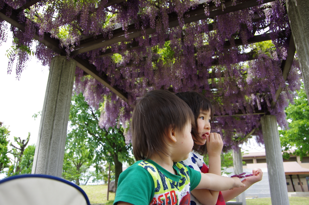 花よりグミ
