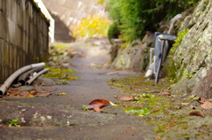 路地