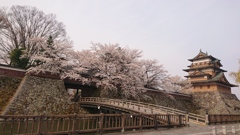 華やぐ高島城