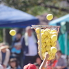 練習の成果が出たね