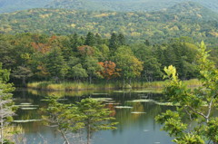 湖と森と紅葉(少し)
