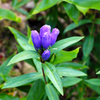 RIMG_6147