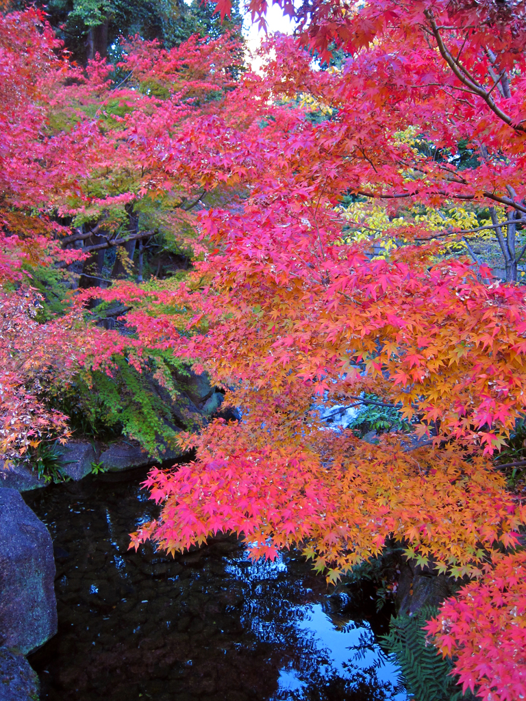 徳川園１
