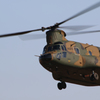 RIMG_0743