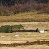 RIMG_0582