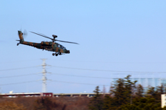 RIMG_0676