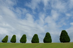 公園