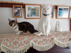 美々ちゃんと美斗くん02