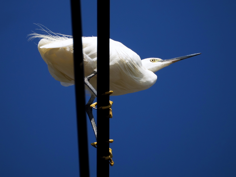 ﾀﾞｲｻｷﾞ02