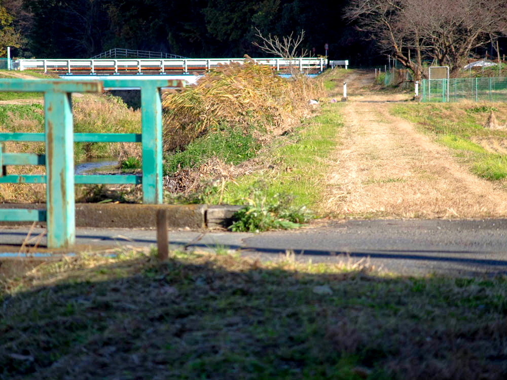 座禅川の川辺り
