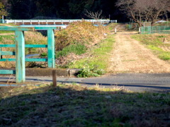 座禅川の川辺り