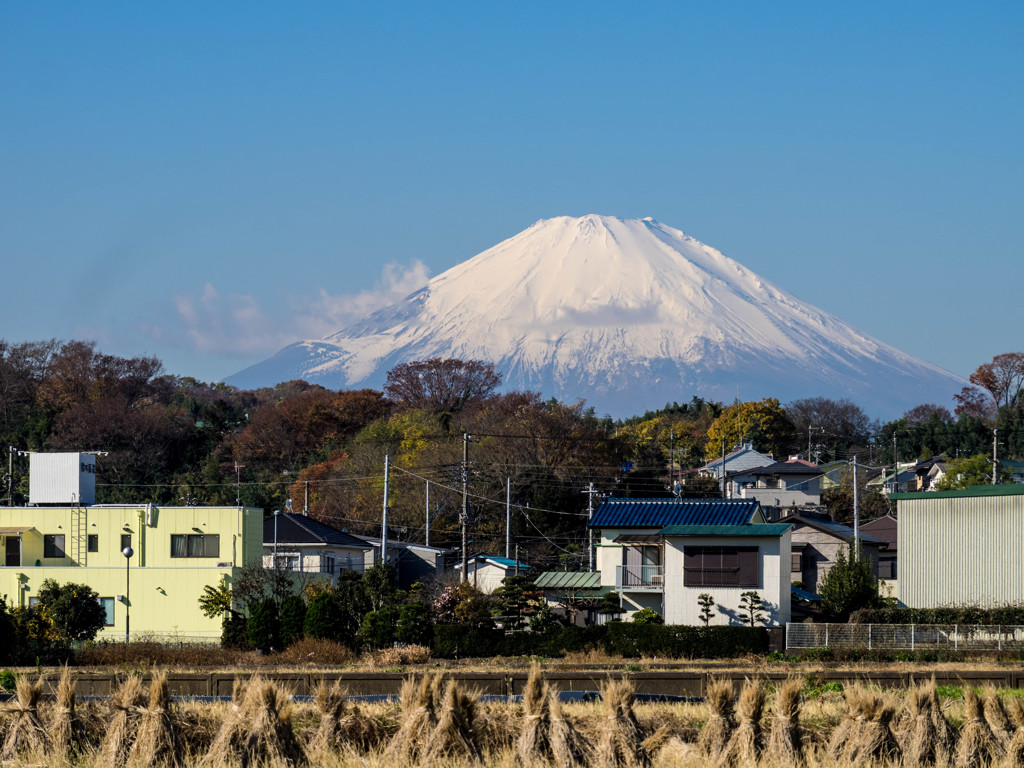 富士山7