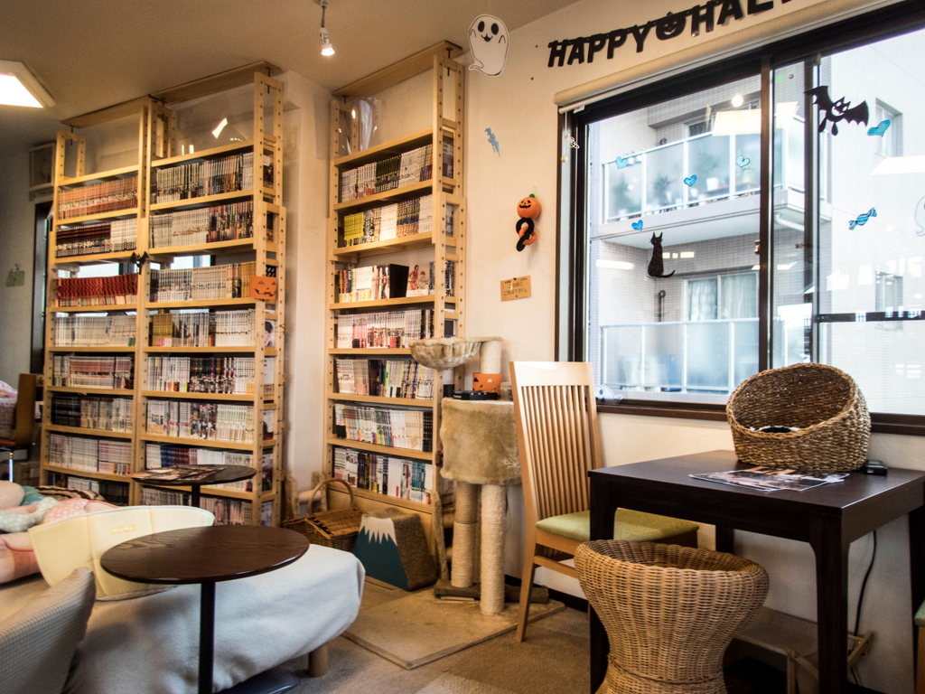 猫喫茶・ねこのみせ2