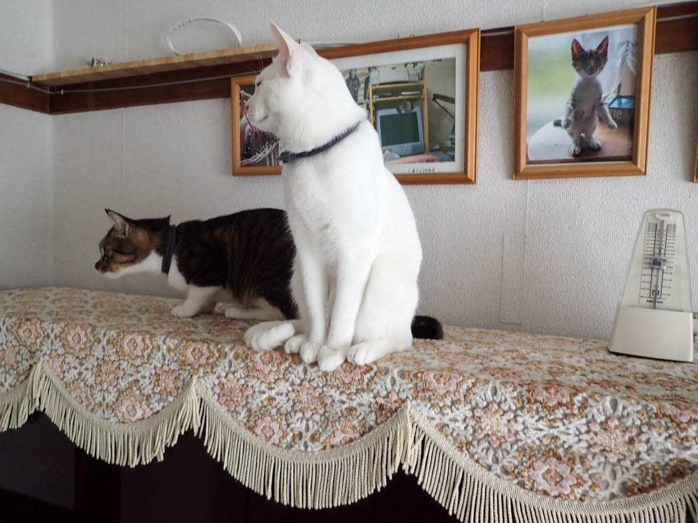 美々ちゃんと美斗くん03