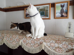 美々ちゃんと美斗くん03