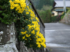 矢倉沢の街中