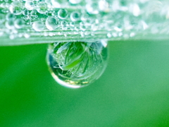 雨滴