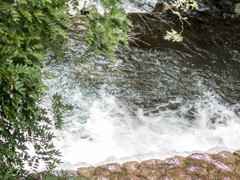 鈴川