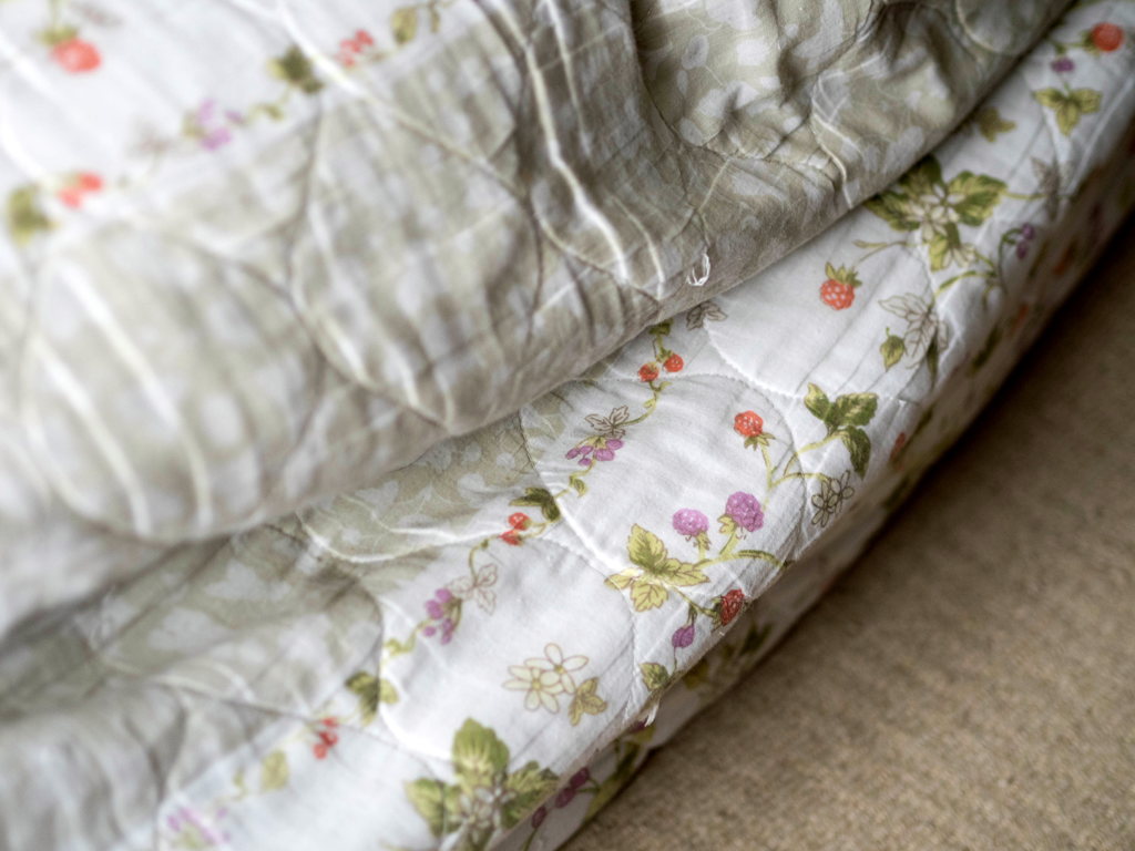 ソファーカバーの中に・・・