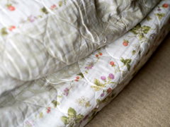 ソファーカバーの中に・・・