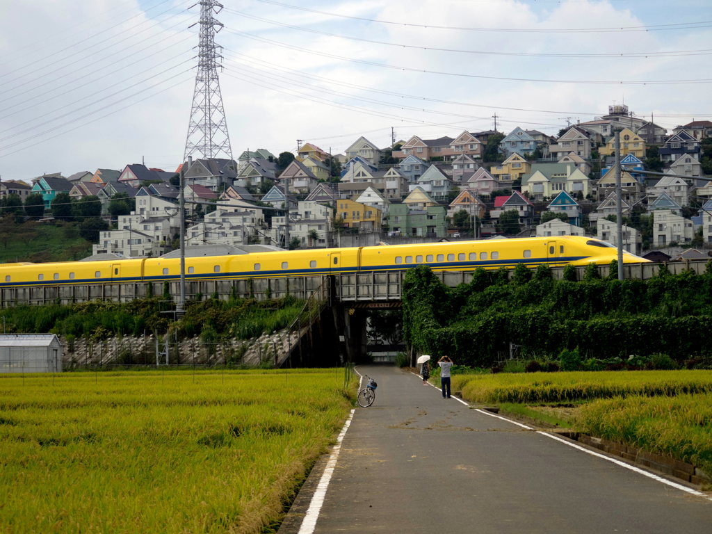 DoctorYellow