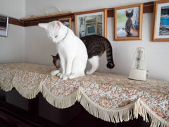 美々ちゃんと美斗くん01