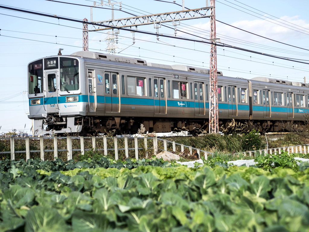 小田急通勤車両