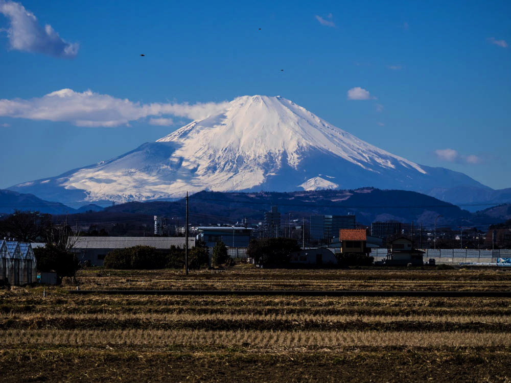富士山4