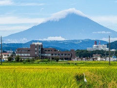 富士山1