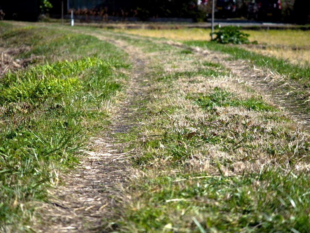 座禅川の川辺り