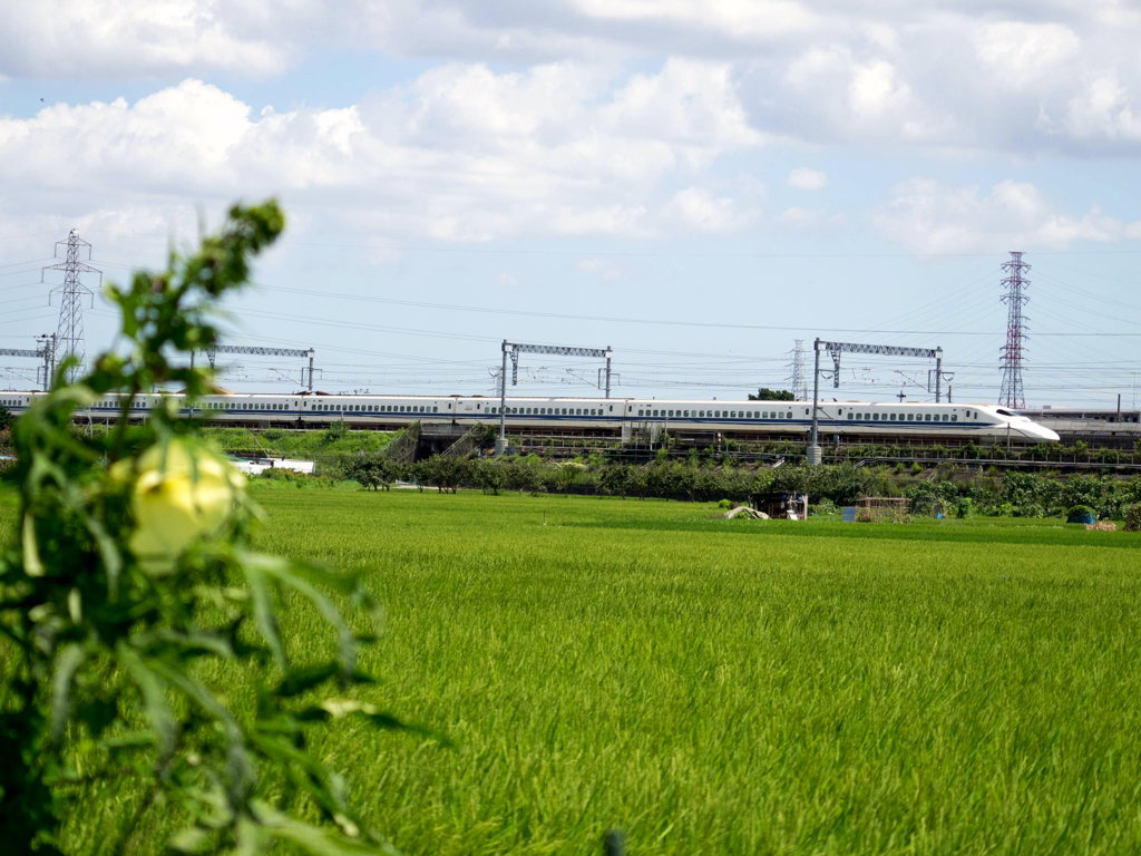 新幹線1