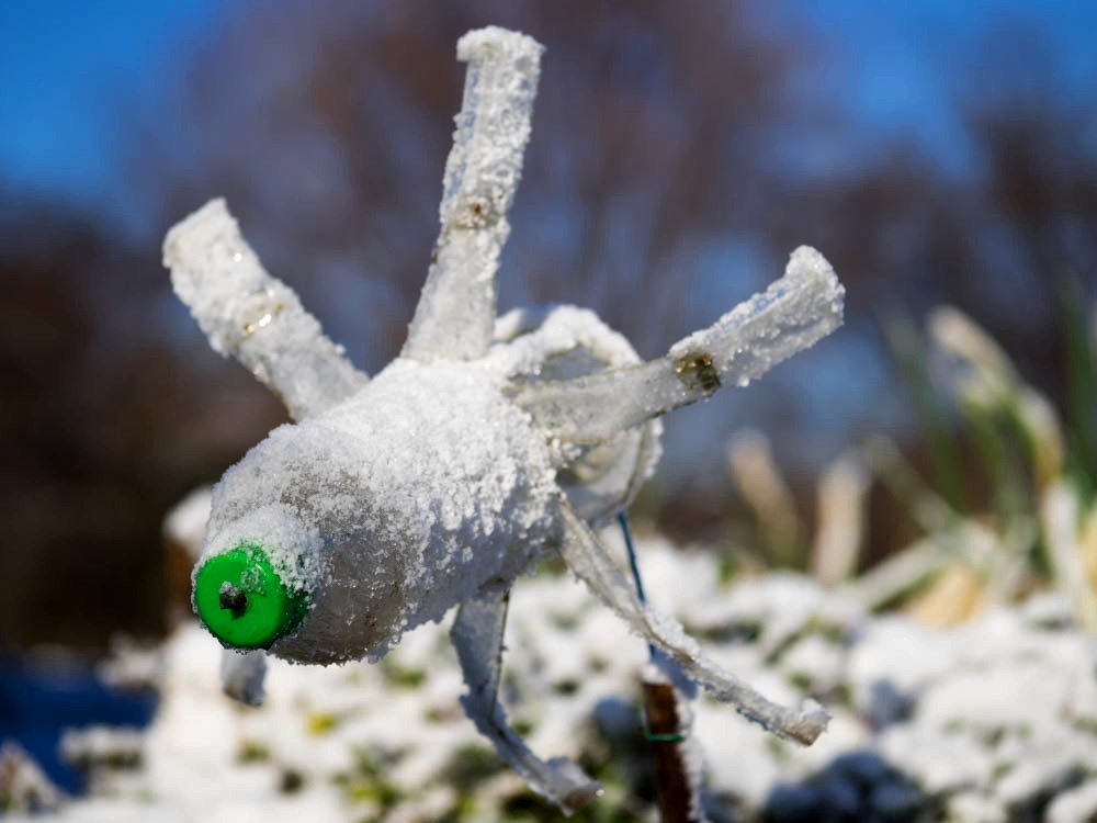 雪日和