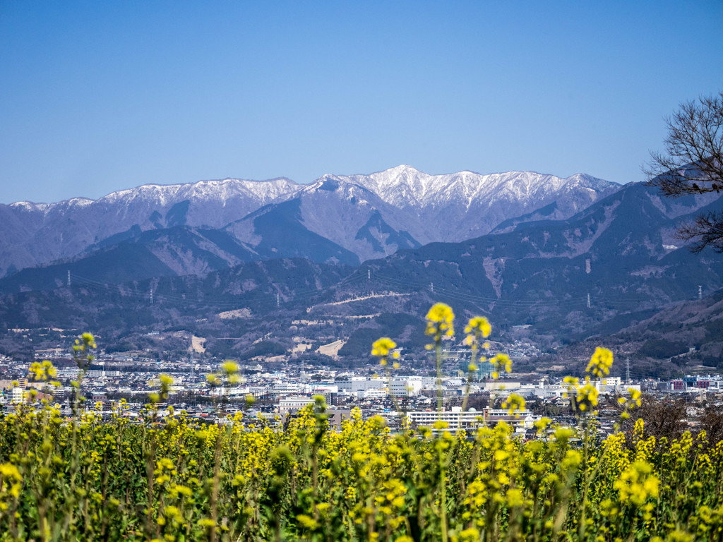 秦野街景1