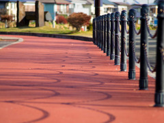 公園内1