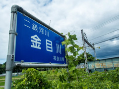 金目川01