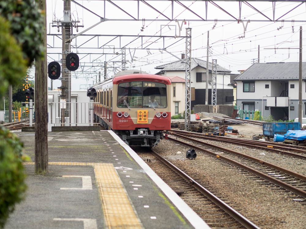 大雄山線　赤電