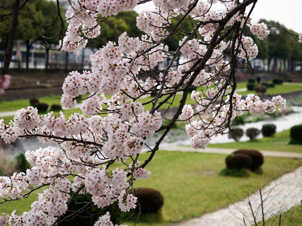 水無川3
