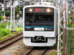 いきもの電車01