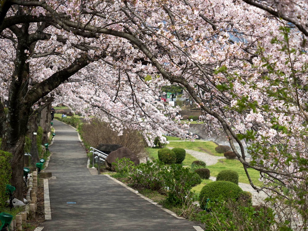 水無川2