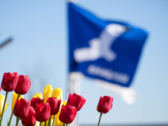 花菜ｶﾞｰﾃﾞﾝ1