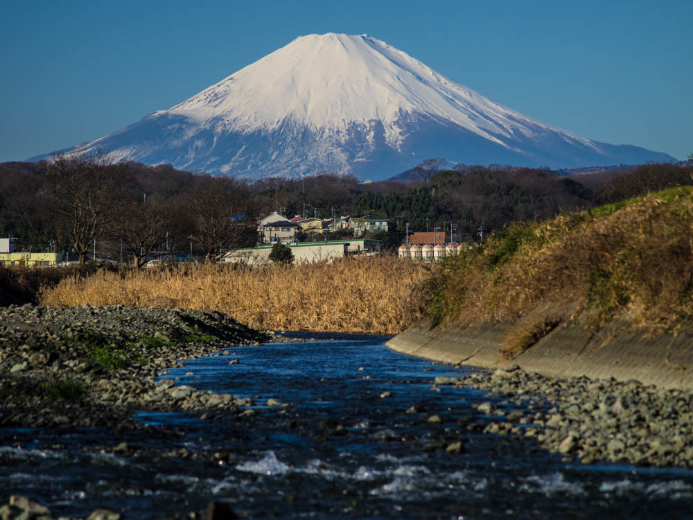 元旦の散歩道