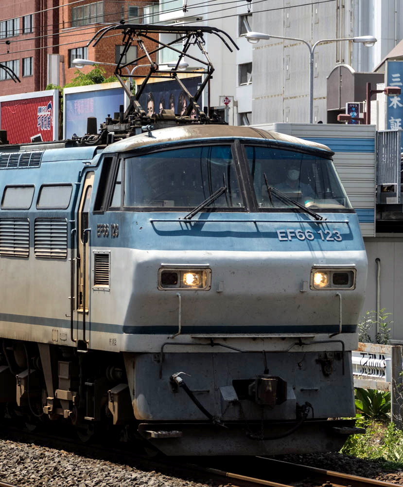 EF66 123電気機関車01