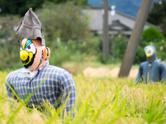 秋の田園3