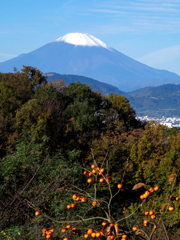 権現山公園からの富士山