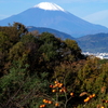 権現山公園からの富士山