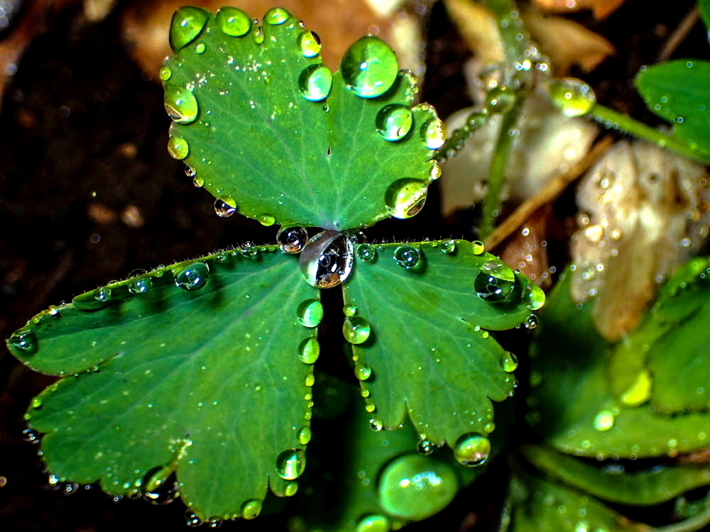 雨滴3